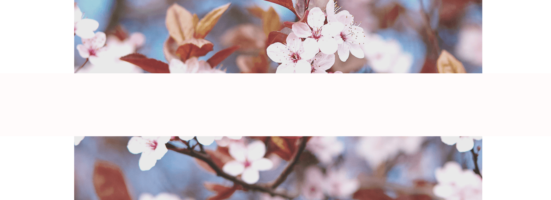 Banner background
