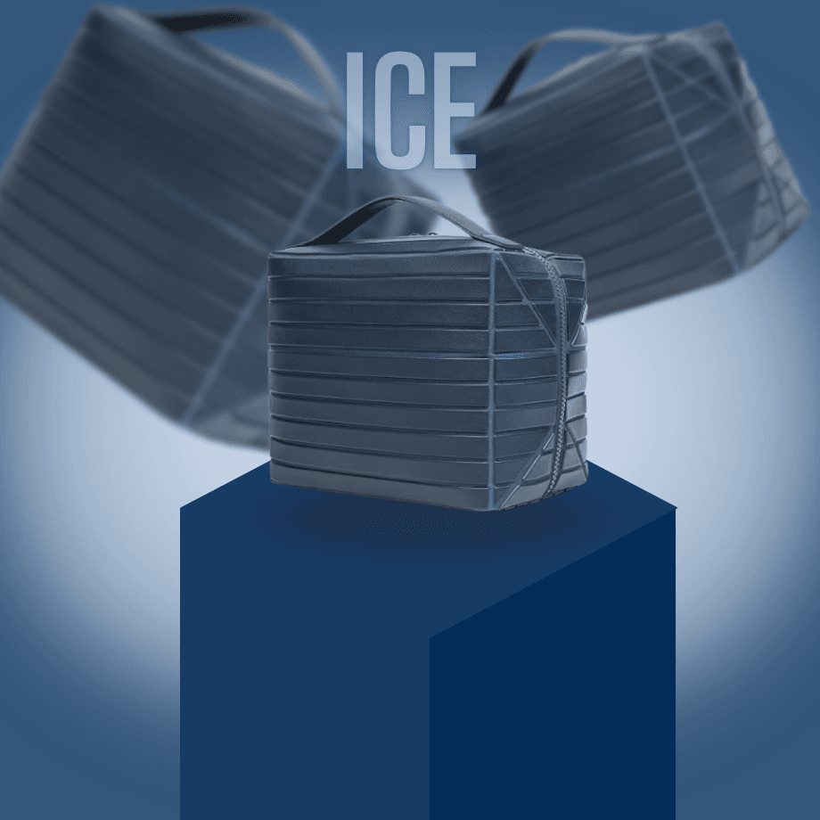 ICE